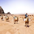 Desert Camel Caravan With Turbaned Guide Walking Through Sandy Dunes And Arid Terrain