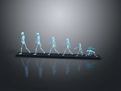 Medical Device Model Displaying Human Skeleton Walking Posture Evolution with Multiple Arranged Postures 3d model