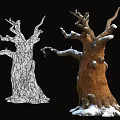 Two Leafless Trees In Snow Covered Tree Pit With Black Background