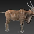 Large Antelope With Spiral Horns And White Stripes On Brown Coat