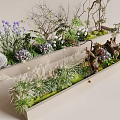 Natural Plant Combination With Green Grass Colorful Flowers Decorative Stones And Wooden Containers