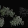 Snow Covered Trees In Winter With Different Shapes And Natural Growth Forms