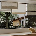 Different Styles of Window Blinds in Modern Interior with Tree View and Small Decor