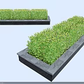 Lush Green Shrubs Planted In Rectangular Concrete Planters For Outdoor Landscaping Design