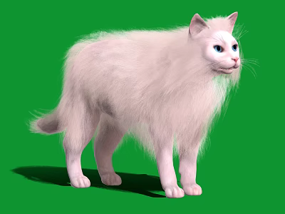 Beautiful White Long Haired Cat Standing On Green Background With Fluffy Fur 3d model