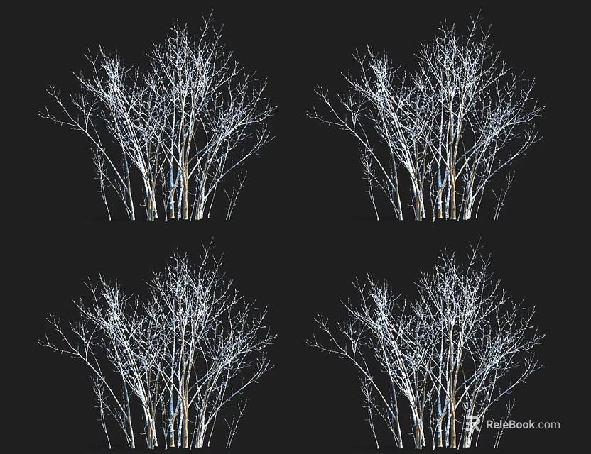 Four Bare Arbor Trees With White Trunks And Branches On Black Background 3d model 
