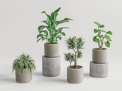 Bonsai Potted Plants With Various Greenery In Stacked Gray Pots And Minimal Background 3d model