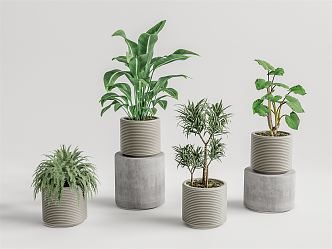 Modern potted plants potted plants 3d model