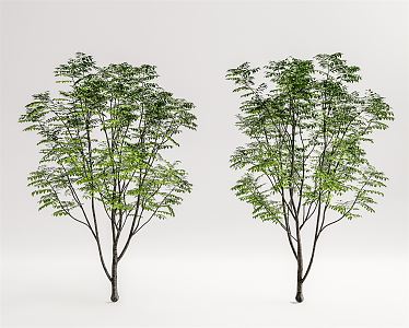 Modern Tree Landscape Tree 3d model