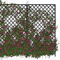 Decorative Garden Trellis Adorned With Lush Climbing Vines Pink Flowers And Green Leaves