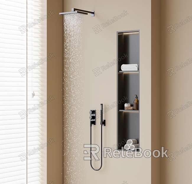 Shower Niches model