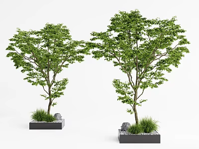 Square Tree Planter With Green Leaf Trees Stones And Grass Landscaping 3d model