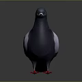 Realistic Animal Painting of Pigeon with Dark Gray Body White Wings and Green Iridescent Neck