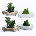 Modern Outdoor Chairs With Circular Design Wooden And White Frames Featuring Potted Plants