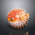 Inflated pufferfish displaying orange white coloration with sharp spines and large eyes