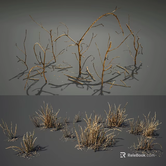 Natural Dried Plants Collection With Withered Branches And Dry Grass 3d model 