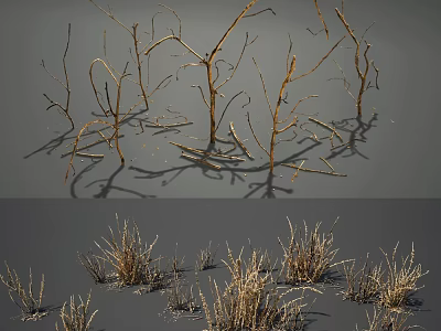 Natural Dried Plants Collection With Withered Branches And Dry Grass 3d model