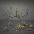 Natural Dried Plants Collection With Withered Branches And Dry Grass 3d model