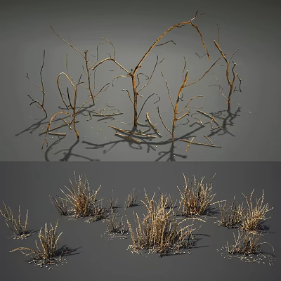Natural Dried Plants Collection With Withered Branches And Dry Grass 3d model