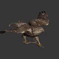 Realistic Hawk With Spread Wings Perched On Branch Against Gray Background 3d model