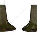 Natural Stone And Wood Tree Stumps With Mossy Roots And Textured Bark