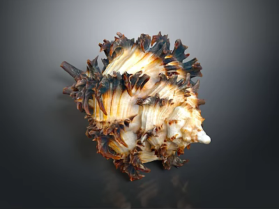 Artistic Intricate Handcrafted Conch Shaped Sculpture With Brown White Black Texture 3d model