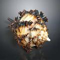Artistic Intricate Handcrafted Conch Shaped Sculpture With Brown White Black Texture