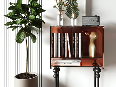 Modern Transparent Acrylic Console Cabinet With Shelves Books Vase Figurine And Fiddle Leaf Fig Plant 3d model