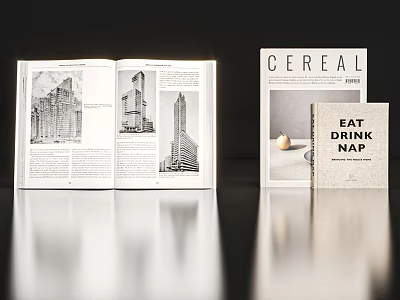 Open book with architectural illustrations and text alongside CEREAL and EAT DRINK NAP magazines 3d model