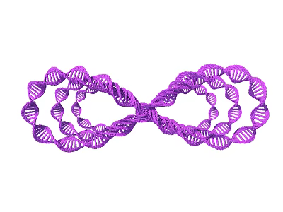 Biological Organization System Featuring Purple DNA Double Helix Loop Structure 3d model