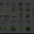 Various Varieties of Flowers and Grasses With Lavender Yellow Blooms and Different Shapes