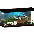 Elegant Aquarium Setup With Pirate Ship Ornament Aquatic Plants And Colorful Fish