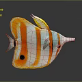 Fish Freshwater Fish Sea Fish Animal Game Animal Cartoon Animal Realistic Animal 3d model