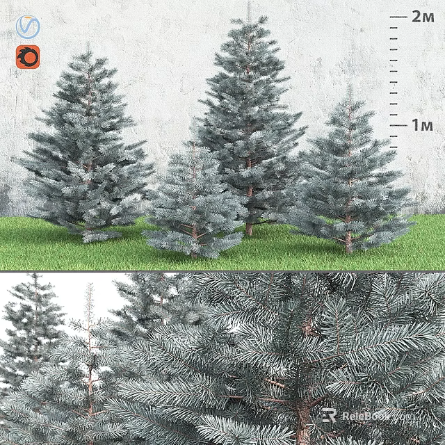 Blue Green Pine Trees Garden Decor with Various Sizes and Grass Background Wall 3d model 