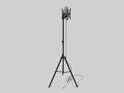 Black Tripod Stand Wired Speaker System For Home Audio Entertainment Use 3d model