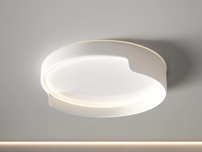 Modern Minimalist Ceiling Light With Unique Design And Soft Illumination 3d model