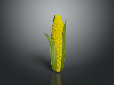 Fresh Corn Cob with Yellow Kernels and Green Leaves for Daily Use 3d model