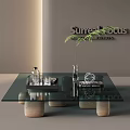 Modern Glass Top Coffee Table With Wooden Legs Decorative Accessories And Green Plant