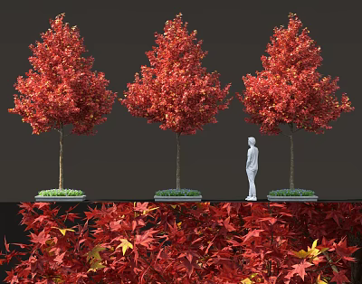 Red Leaf Maple Trees with Vibrant Red Foliage and Red Fallen Leaves Around 3d model