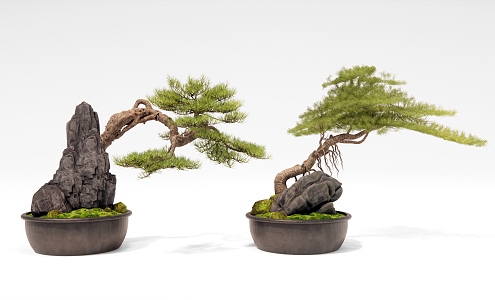 Pine bonsai Pine potted landscape stone rockery 3d model