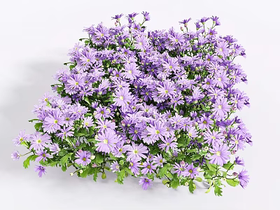 Vibrant Purple Flowers with Small Blooms and Lush Green Leaves in Dense Cluster 3d model