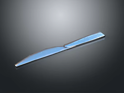 Shiny Stainless Steel Kitchen Knife With Smooth Blade For Daily Household Use 3d model