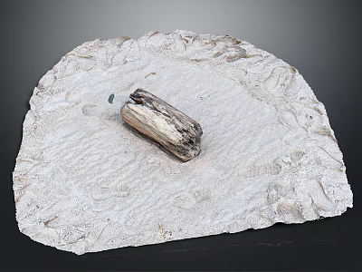 Natural Wood Piece On Textured Stone Base For Home Decor Accent 3d model