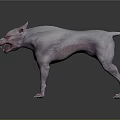 Ferocious Muscular Dog With Sharp Teeth Red Eyes And Pale Pink Skin