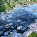 Waterfront Landscape Design With Lush Grass Trees And Natural Rock Pond