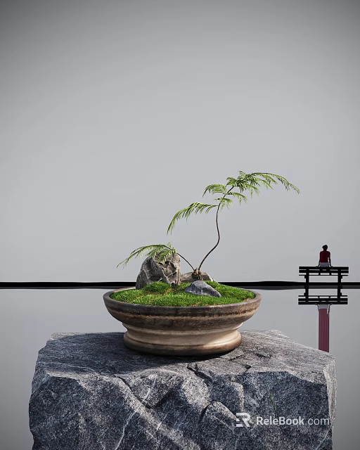 Bonsai Plant in Ceramic Pot with Slender Trunk Grass Stone Reflection Near Bench and Person 3d model 