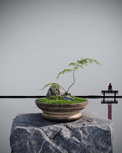 Bonsai Plant in Ceramic Pot with Slender Trunk Grass Stone Reflection Near Bench and Person 3d model