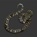 Modern snake python reptile cold-blooded animal 3d model