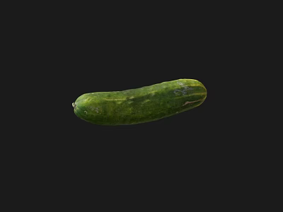 Whole Fresh Green Cucumber Vegetable Ideal for Healthy Salad Preparation 3d model