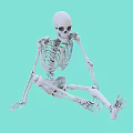 Detailed Human Anatomical Skeleton Model as Medical Device for Training and Education